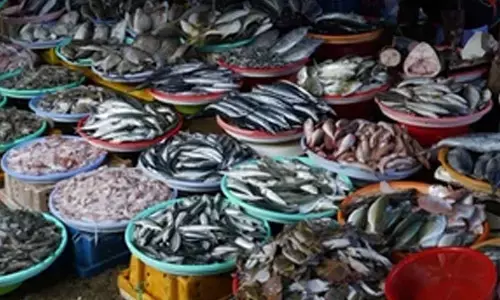 Centre holding Fisheries Summer Meet 2024 in Madurai