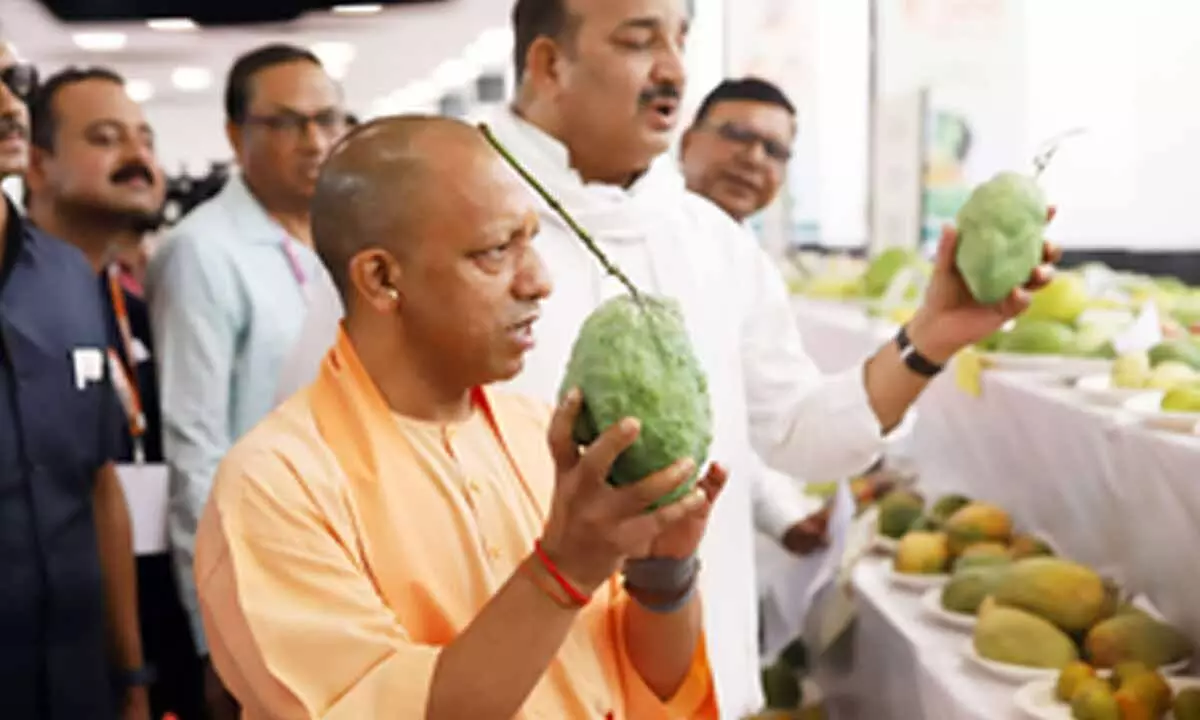 UP to export 40 tonnes of mangoes to Japan & Malaysia in 2024: CM Yogi