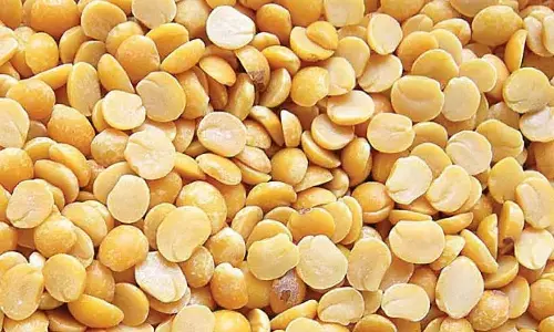 Special counters inaugurated