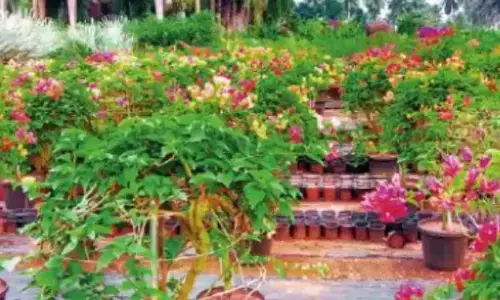 Kadiyam nurseries to be developed under eco-tourism project