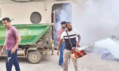 ‘Rise in dengue cases due to more testing centres’