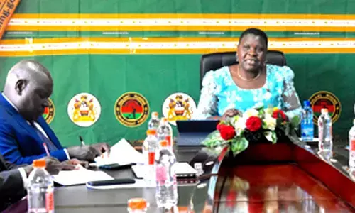 Malawian government to engage diaspora community on mining