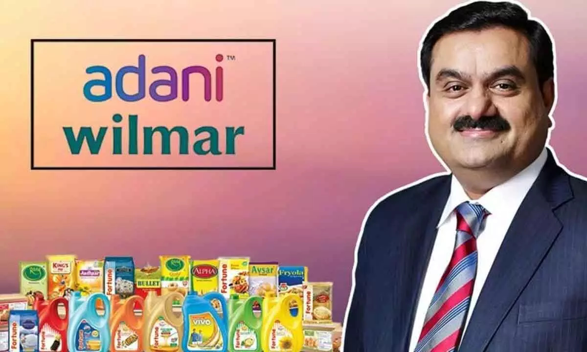 Adani Wilmar picks 67% in Omkar Chemicals