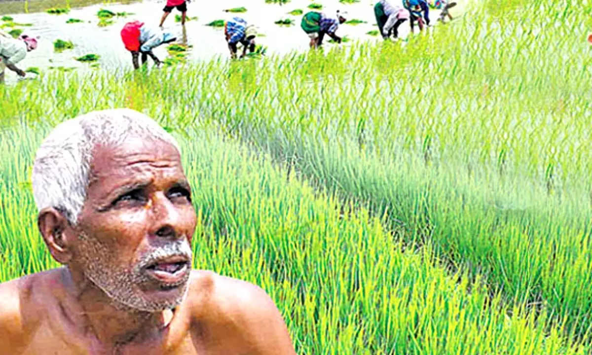 Telangana Government Releases Guidelines for Crop Loan Waiver Scheme