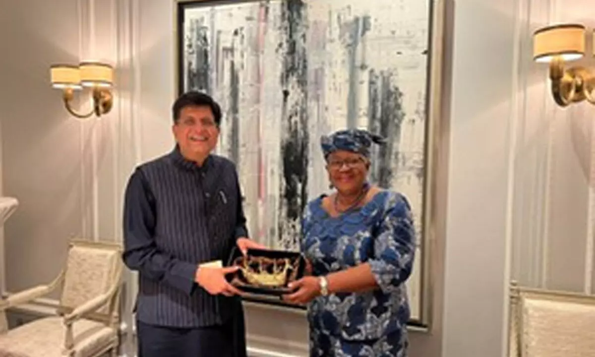 Piyush Goyal holds talks with WTO Chief on free and equitable trade