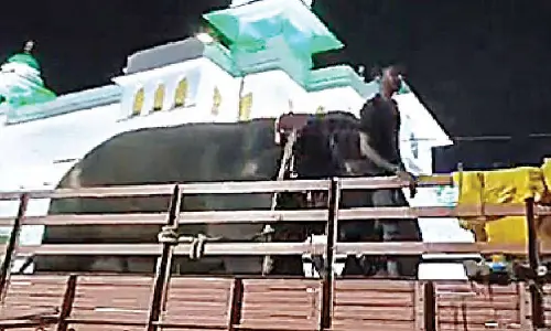 Elephant Rupavathi from Karnataka to lead Moharram, Bonalu processions