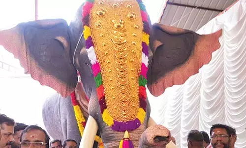 Mechanical elephant for Telangana Muharram, Bonalu