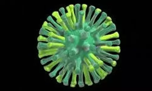 Australian experts warn of triple avian influenza threat