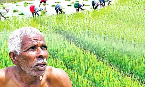 Telangana Government Releases Guidelines for Crop Loan Waiver Scheme