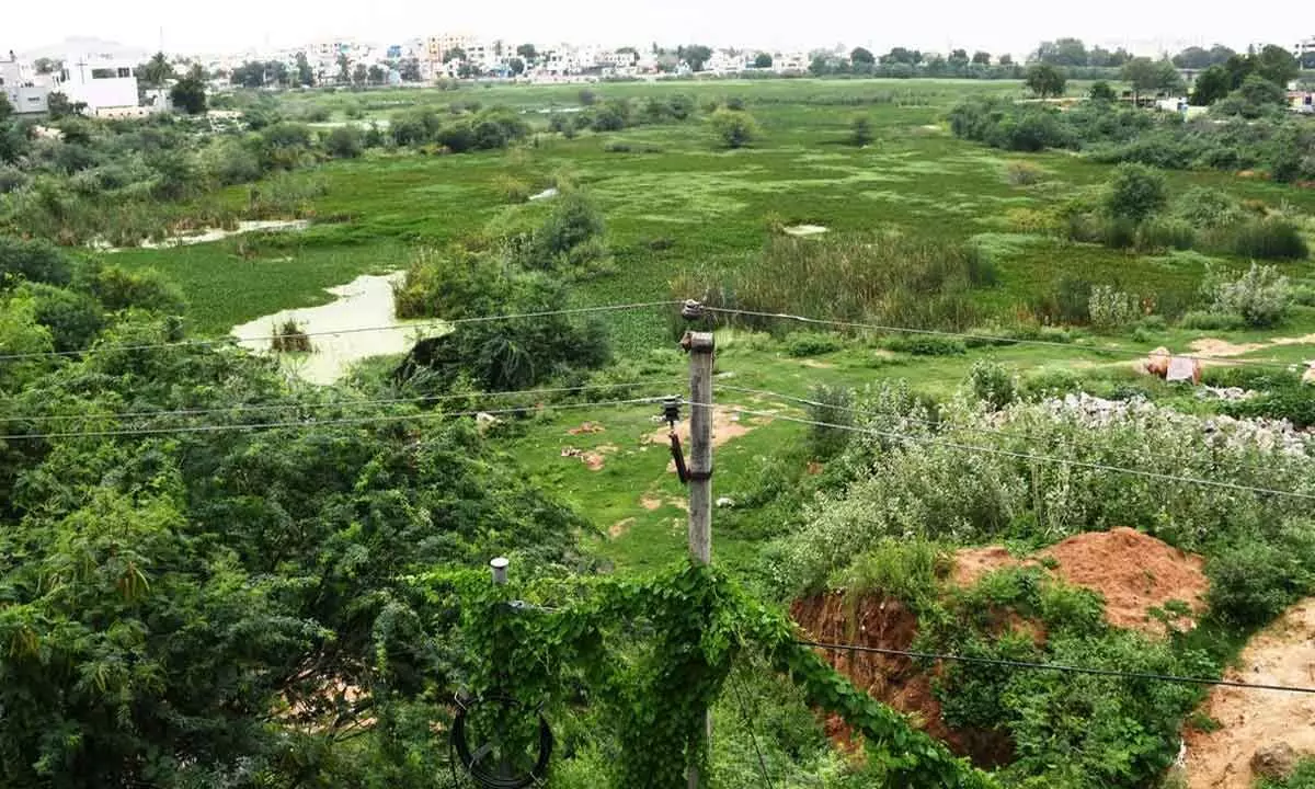 Despite heavy rains in Hyd, RK Puram lake remains dry