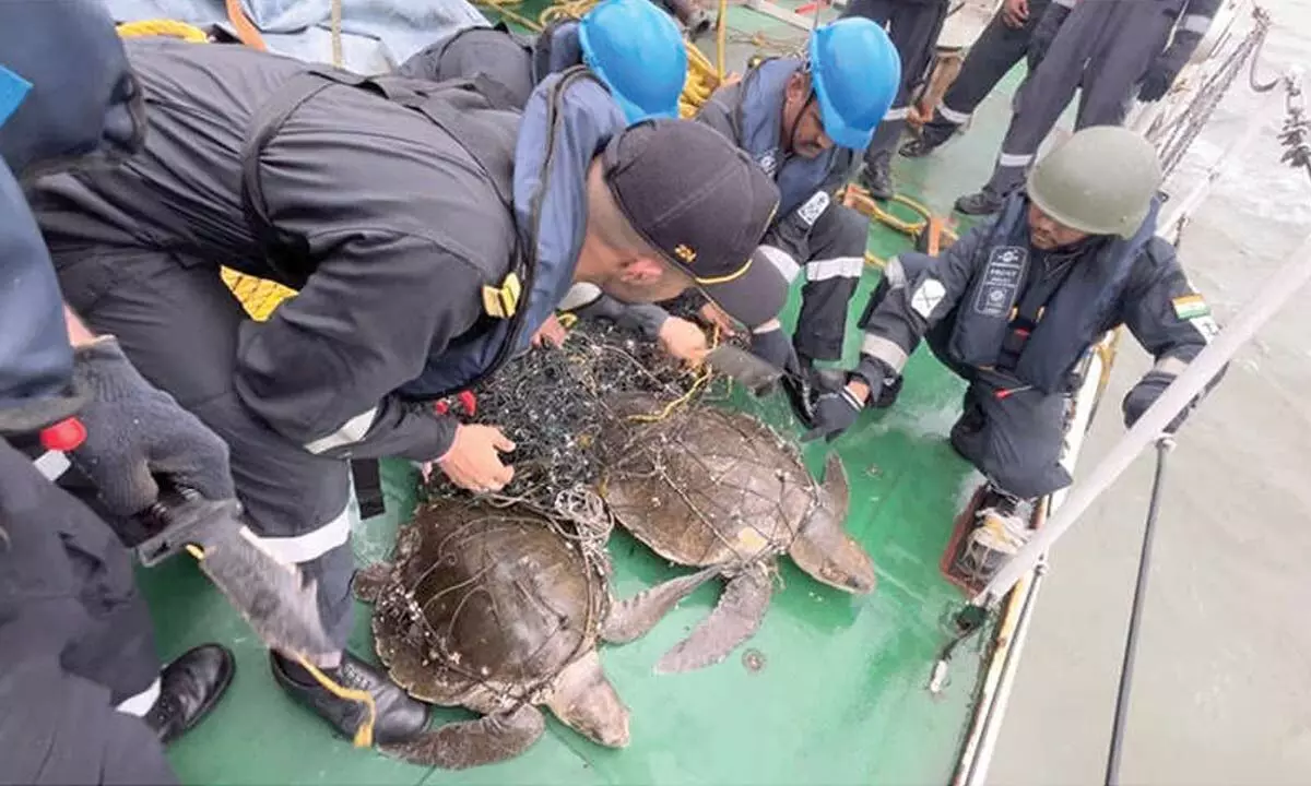 The Indian Coast Guard Ship Kamla Devi rescued two Olive Ridley Turtles entangled in ghost nets off the coast of West Bengal