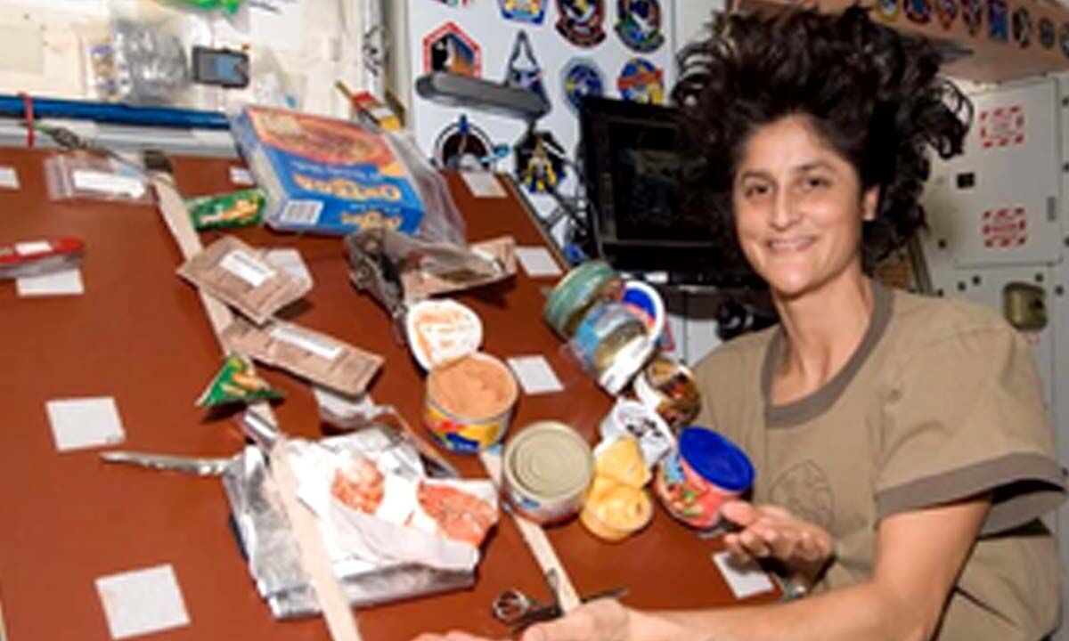 Food aroma study debunks why food tastes bad in space Biology Diagrams