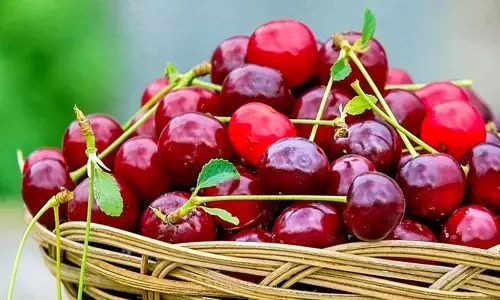 National Cherry Day 2024: Date, Significance, Health Benefits
