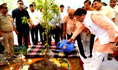On Harela festival Uttarakhand CM plants sapling, announces target of 50 lakh trees