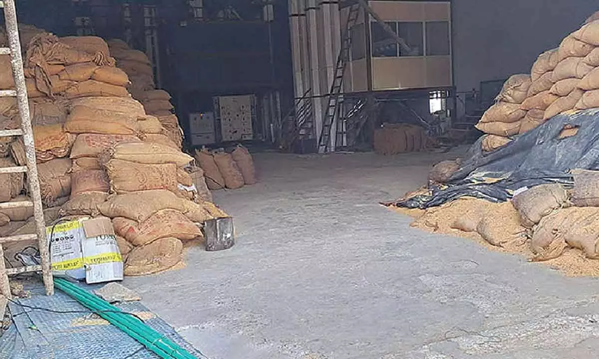 Illegal recycling of PDS rice thriving