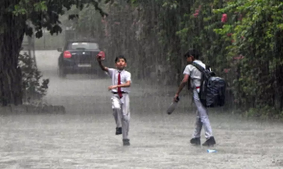 Monsoon to be active in peninsular & central India for next 5 days: IMD