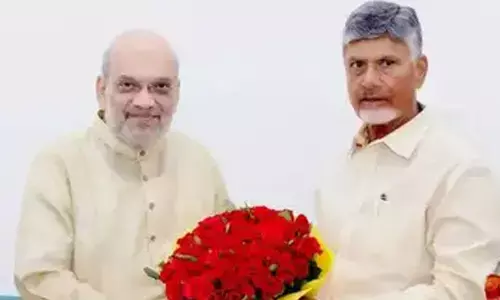 AP CM Chandrababu meets Amit Shah, seeks special assistance in Budget