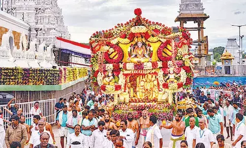 Lord Malayappa blesses devotees from atop Pushpa Pallaki