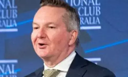 Nuclear power incompatible with Australias renewable rollout: Energy Minister