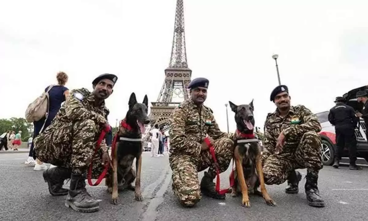 Indian dog squads to patrol at venues of Paris Olympics