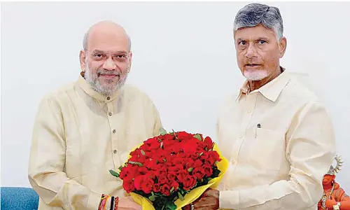 N Chandrababu Naidu pitches for consolidated grants