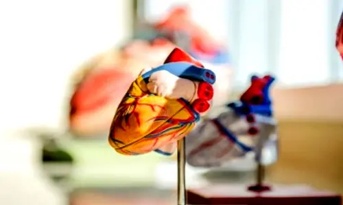 How this common chemotherapy drug can raise risk of severe damage to heart