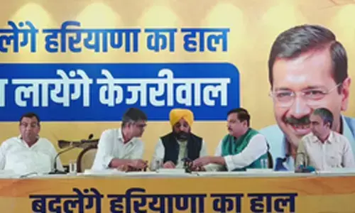 AAP to contest Assembly elections in Haryana alone