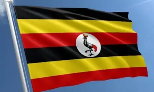 Ugandas coffee export earnings reach 30-year high