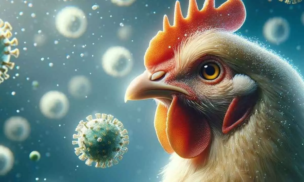 GOI brainstorming on Avian flu