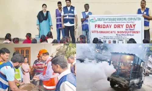 Hyderabad: GHMC ramps up ops to swat mosquito menace