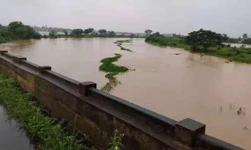 Rajamahendravaram: Erra Kaluva furious