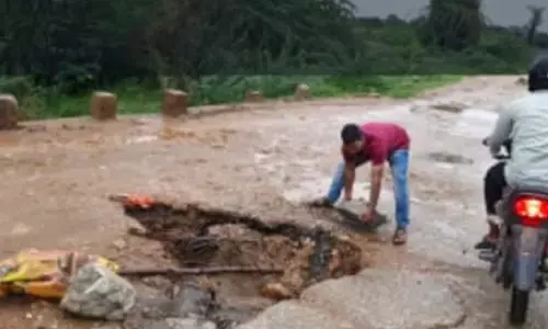 Urgent Call for Bridge repair on Pedda Vaagu in Ieeja town