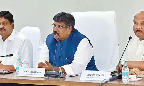 Assembly Speaker, Council chairman appeal for fruitful discussions