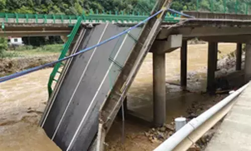 12 dead, 31 missing in China bridge collapse