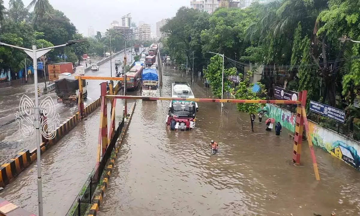 CM Shinde directs agencies to stay vigilant amid heavy rain, flood in Maha