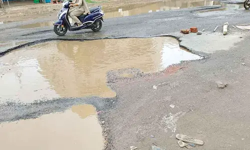 Direct sowing paddy crops damaged partially