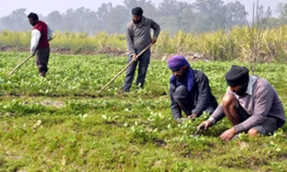 Farm sector gets boost as Agri Infra Fund mobilises Rs 73,194 crore: Eco Survey