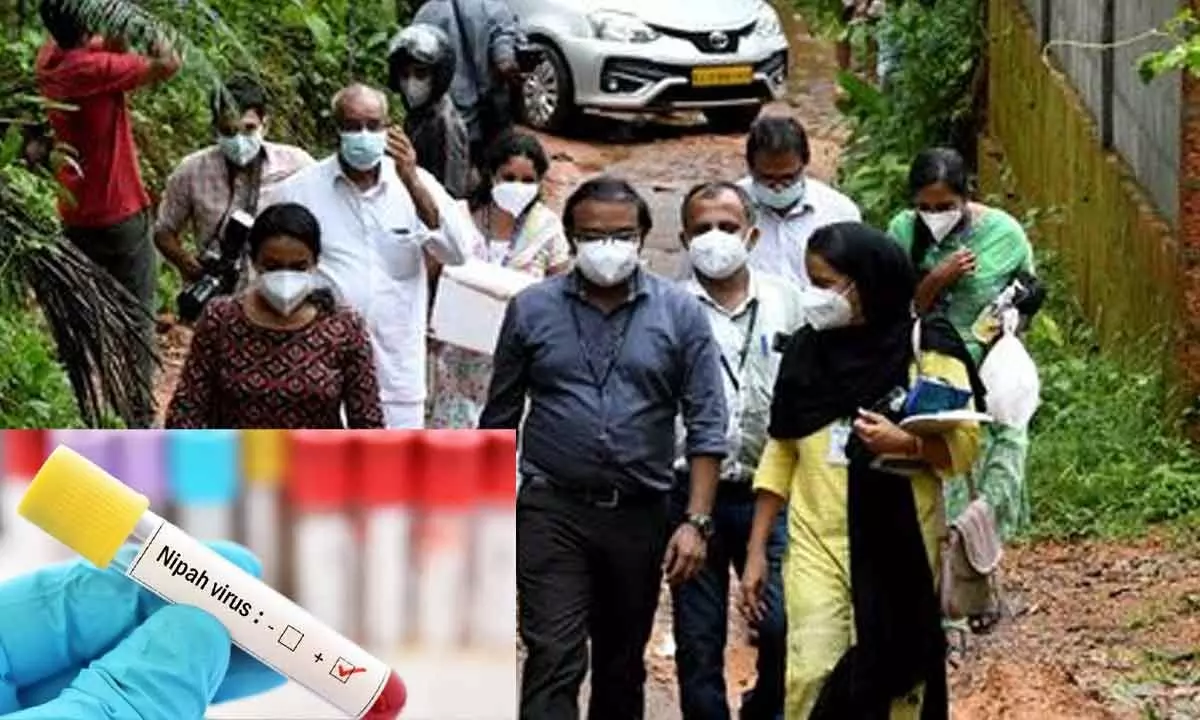 Kerala Races To Contain Nipah Virus Outbreak After Death Of Teen; Six External Contacts Identified