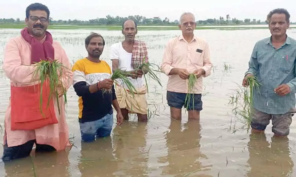 CPM leaders inspecting inundated farm fields in LNPeta mandal on Tuesday