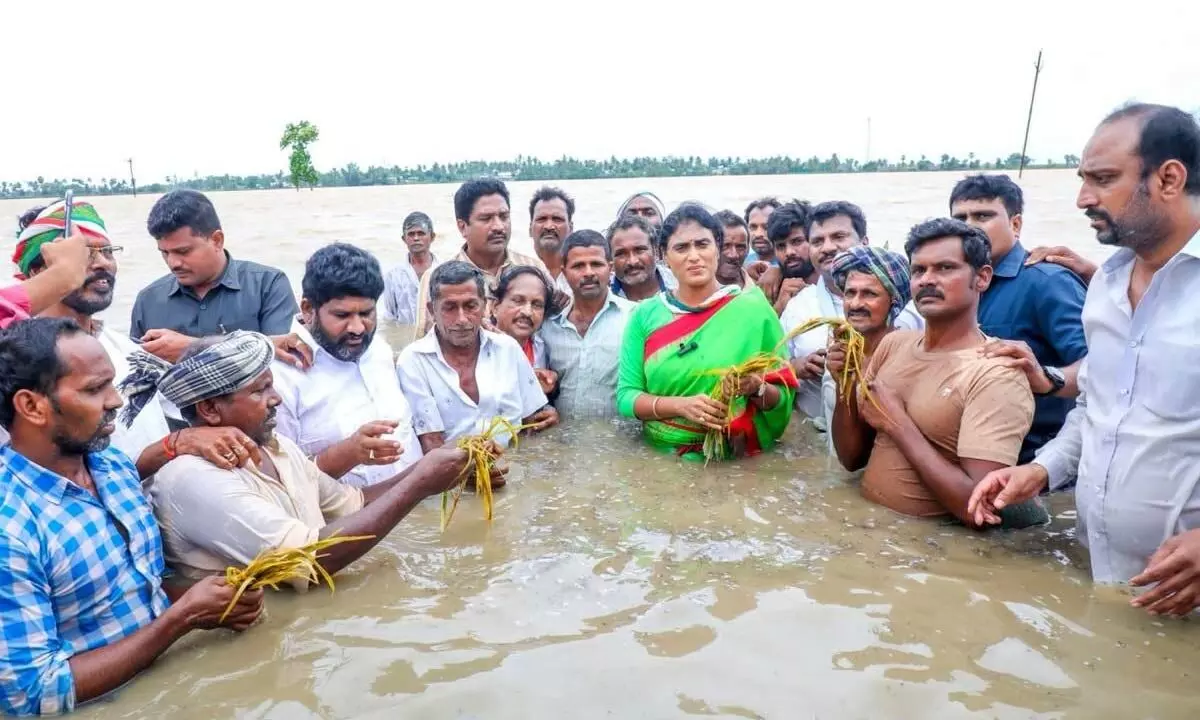 Sharmila inspected the waterlogged crops