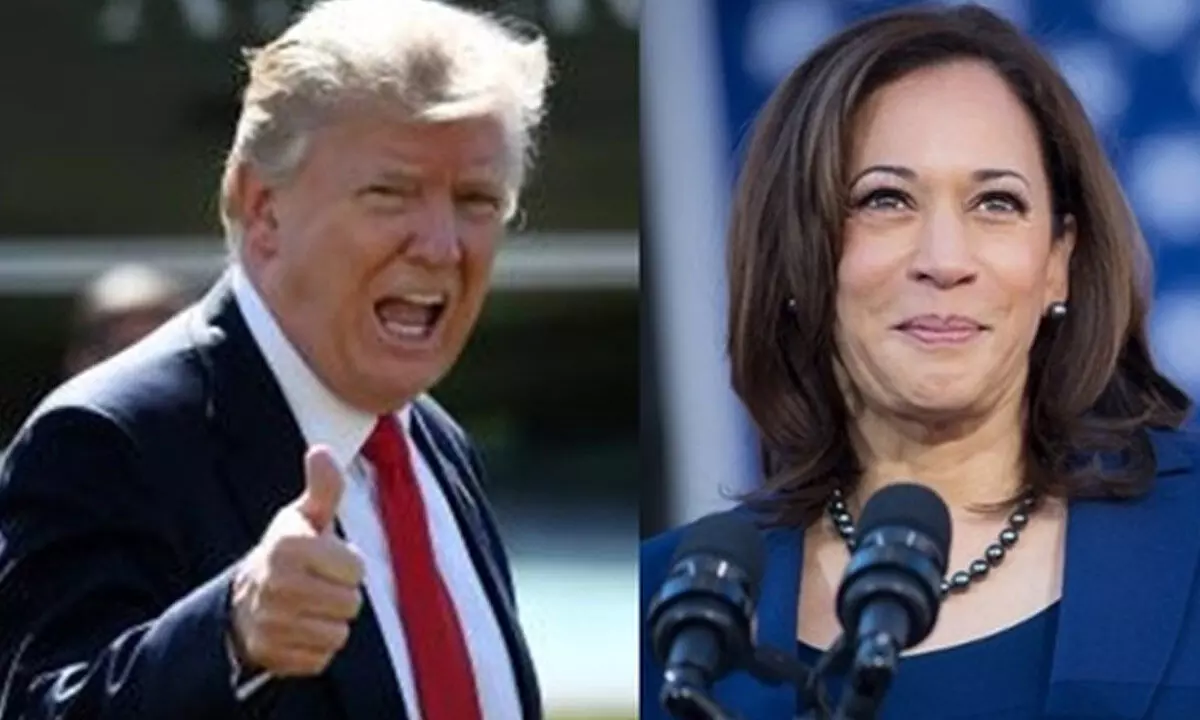 Kamala Harris trumps Donald among Indian-Americans, shows internal poll