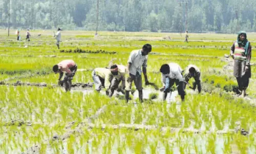 Farmers have received ‘raw deal’ in Budget: Cong