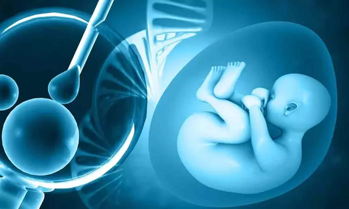 Future Advancements in IVF: Embracing New Horizons