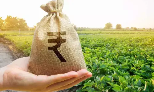 Agriculture takes the top slot in the TS Budget for 2024-25