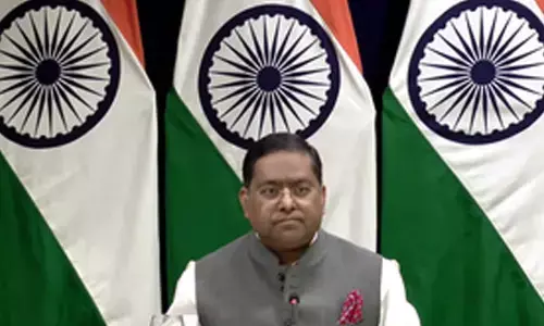 Kerala govt should not intrude into matters beyond its constitutional jurisdiction: MEA