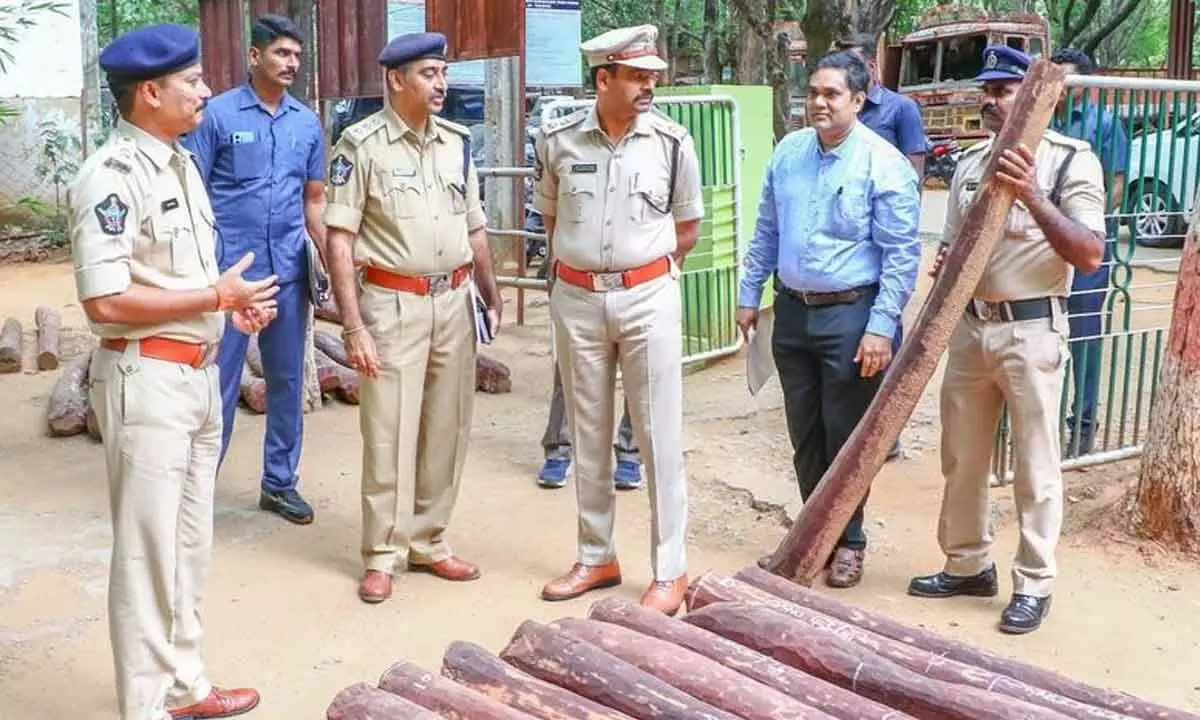 Take tough measures to curb red sanders smuggling: SP Subbarayudu