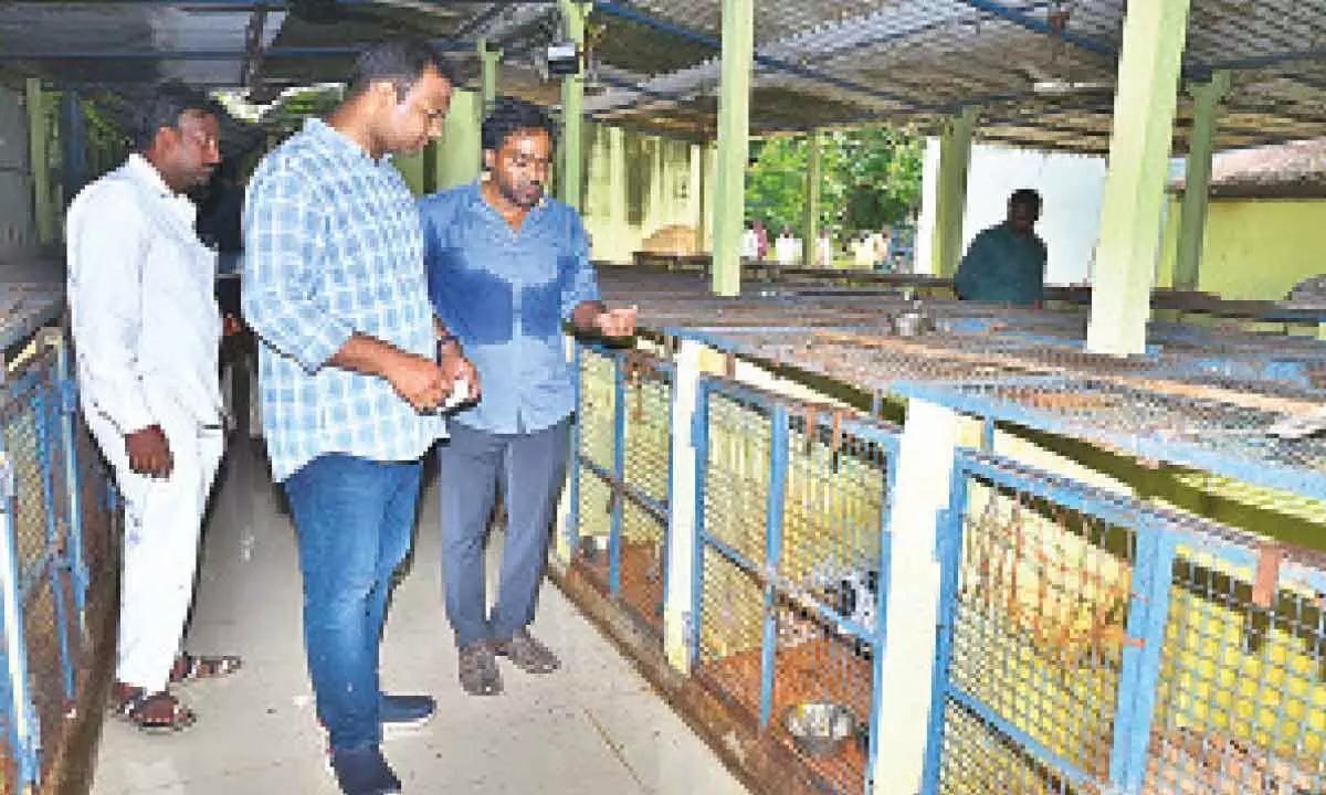 Municipal Commissioner M Surya Teja inspecting Stray Dogs Surgery Center beside old Municipal Office in the city on Thursday