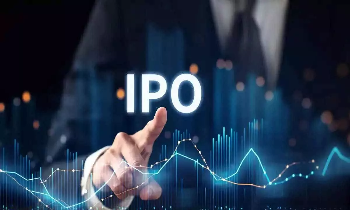 IPO market boom: India held highest share globally in first half of 2024