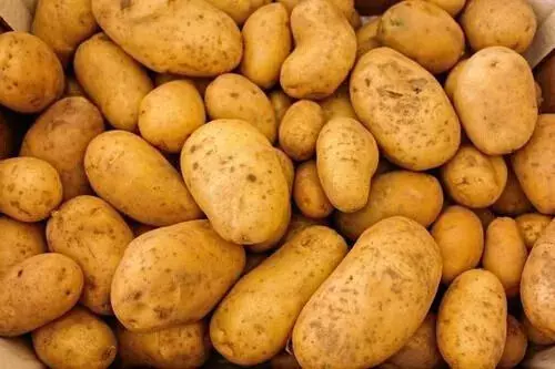 Odisha plans to procure potato from UP