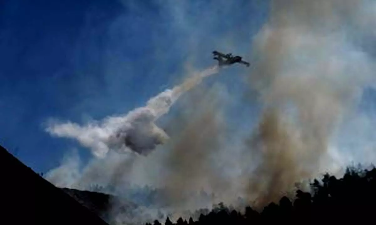 EU mobilizes support to combat wildfires across southern Europe